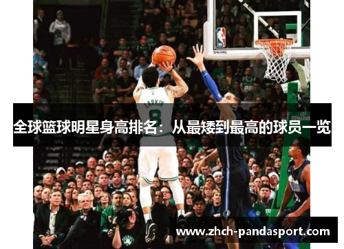 全球篮球明星身高排名：从最矮到最高的球员一览