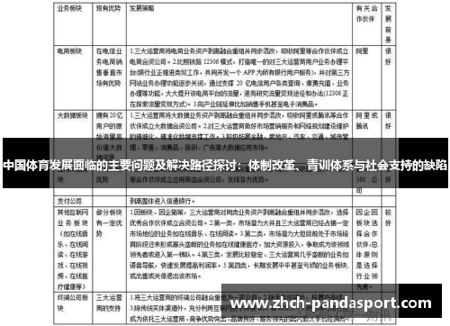 中国体育发展面临的主要问题及解决路径探讨：体制改革、青训体系与社会支持的缺陷